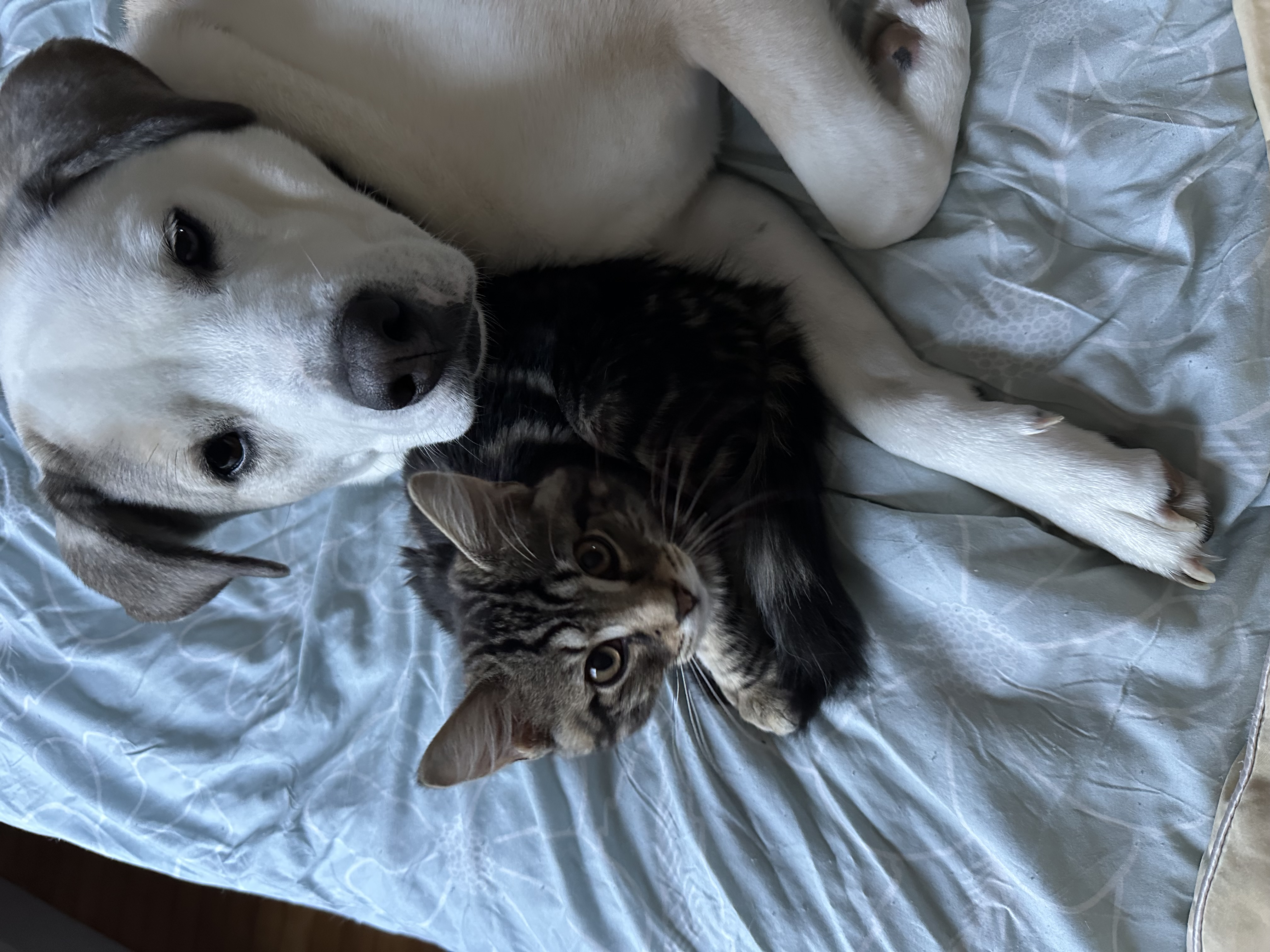 nikki_and_co