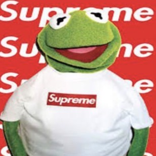 kermitsanders